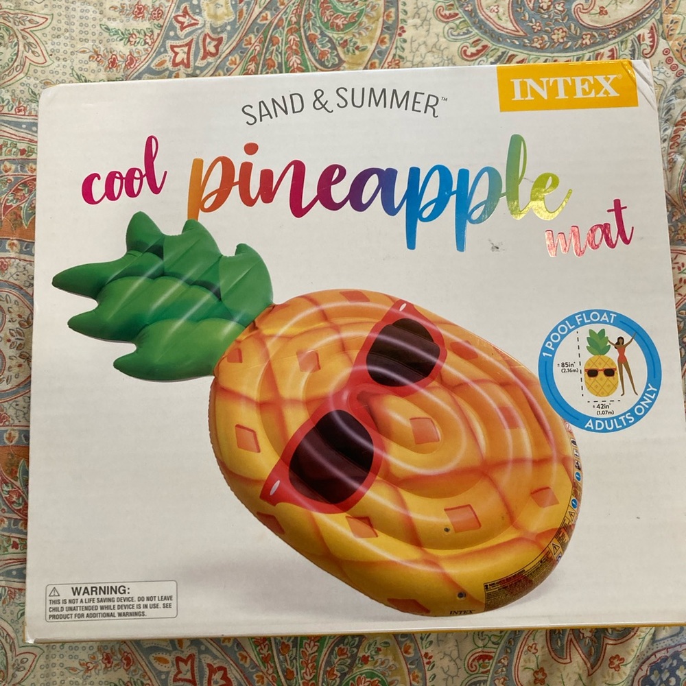 Brand new never opened pineapple pool float